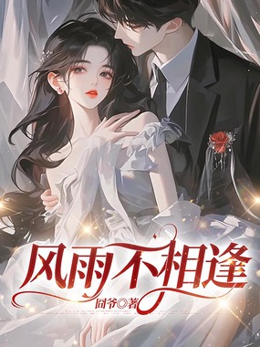 风雨不相逢在线阅读