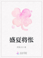 盛夏将怅在线阅读