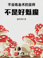 不会炼金术的巫师不是好魅魔在线阅读