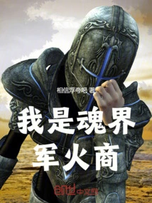 I Am an Arms Dealer from the Soul World