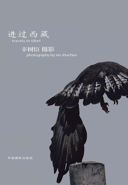 进过西藏 封面