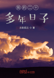 我的二十多年日子