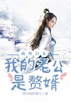 仙尊歸來：我的老公是贅婿在線閱讀