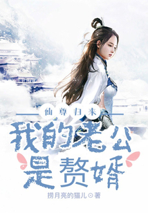 仙尊歸來:我的老公是贅婿
