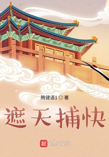 遮天捕快