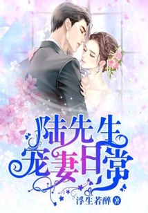 陸先生寵妻日常