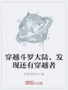 穿越斗罗大陆,发现还有穿越者在线阅读