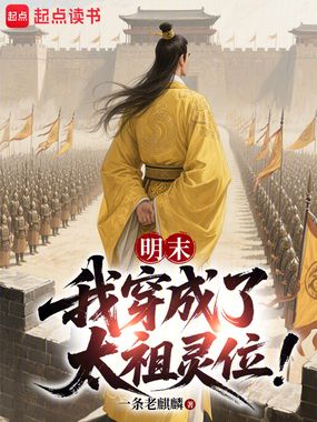 明末：我穿成了太祖灵位！在线阅读
