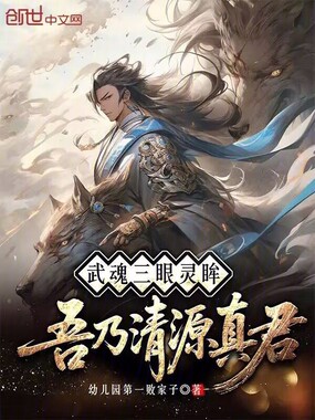 武魂三眼灵眸,吾乃清源真君在线阅读