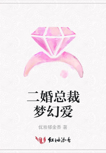二婚總裁夢幻愛