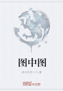 圖中圖