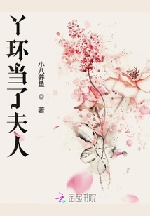丫環當了夫人