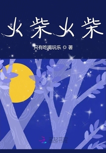 火柴火柴