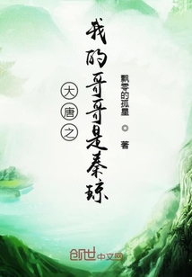 大唐之我的哥哥是秦瓊