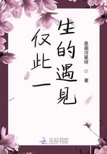 僅此一生的遇見