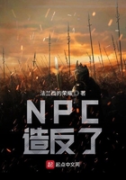 NPC造反了在线阅读