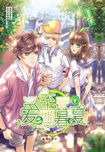 爱至暮夏1(精装版)