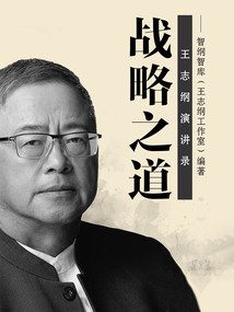 戰(zhàn)略之道:王志綱演講錄