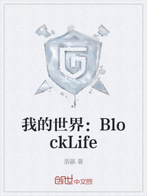 我的世界:BlockLife
