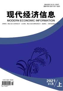 現代經濟信息（2021年第1期·上旬刊）