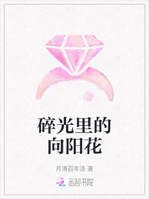 碎光里的向陽花