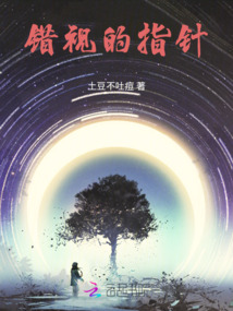 錯視的指針