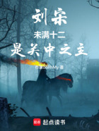 刘宋:未满十二,是关中之主在线阅读