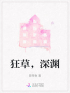 狂草，深渊在线阅读