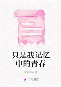 只是我記憶中的青春