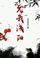 允我淺陽在線閱讀