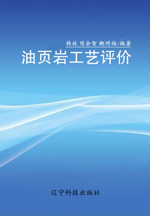油頁巖工藝評價