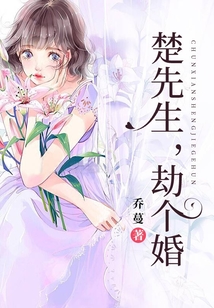 楚先生,劫个婚