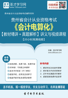 贵州省会计从业资格考试《会计电算化》【教材精讲＋真题解析】讲义与视频课程【20小时高清视频】在线阅读