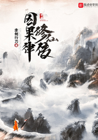 因果律修仙传在线阅读