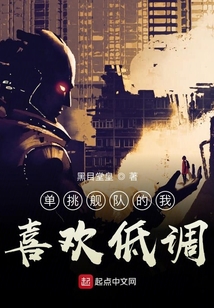 單挑艦隊(duì)的我喜歡低調(diào)