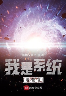 我是系統(tǒng)運(yùn)營官