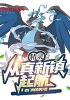 精灵:从真新镇起航