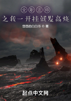 全职法师之我一开挂就发高烧