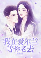 我在爱尔兰等你老去