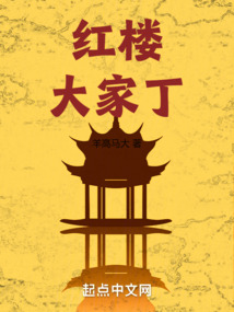 紅樓大家丁