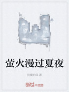 螢火漫過夏夜在線閱讀