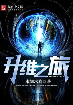 升维之旅在线阅读