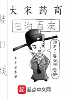 大宋藥商在線閱讀
