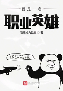 我是一名职业英雄