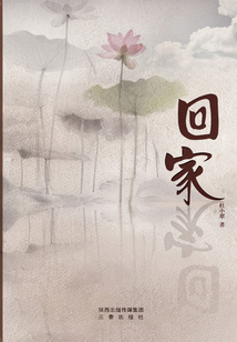 回家
