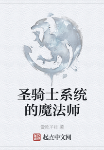圣騎士系統的魔法師