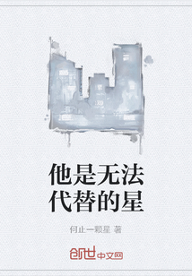 他是无法代替的星