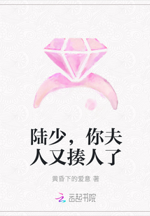陸少，你夫人又揍人了