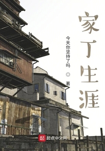 家丁生涯
