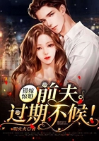 错嫁惊婚:前夫,过期不候!在线阅读